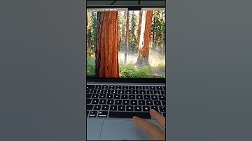 MacBook Air M4 Flutter Install SDK First time #flutter #macbookair #install #android