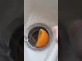 The cheapest and best way to clean your Insinkerator Waste Disposer!