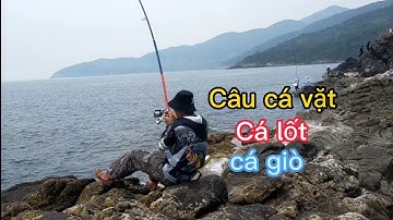Câu cá biển, Cá hồng , cá lốt, cá giò.mủi nghê sơn trà Đà Nẵng