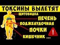 17 продуктов для Полной Чистки от Токсинов и Шлаков Лучше любых Лекарств