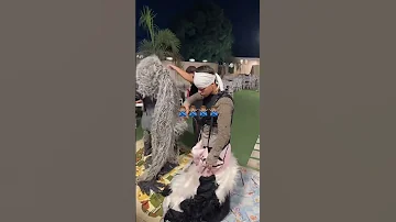احنا وبنلبس الغوريلا عشان الناس اليه بتسأل Explore Music Rap الغوريلا اكسبلور باندا فولو 