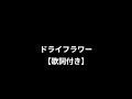 【歌詞付き】ドライフラワー/優里