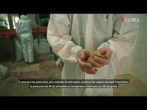 Video: Alimente Pentru Animale De Companie Diamond, Producător De Produse Alimentare Pentru Gustul Animalelor Sălbatice, Emite Revocarea Voluntară A Alimentelor Uscate Pentru Animale De C