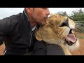 Saying Goodbye To Amy | The Lion Whisperer