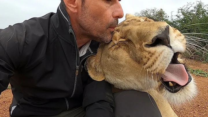 Saying Goodbye To Amy | The Lion Whisperer