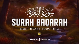 Best Surah Al Baqarah Full سورة البقره | Heart touching recitation | SOFT VOICE | Zikrullah TV screenshot 1