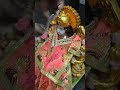 अंबे जी का स्नान और श्रृंगार 🙏🙏