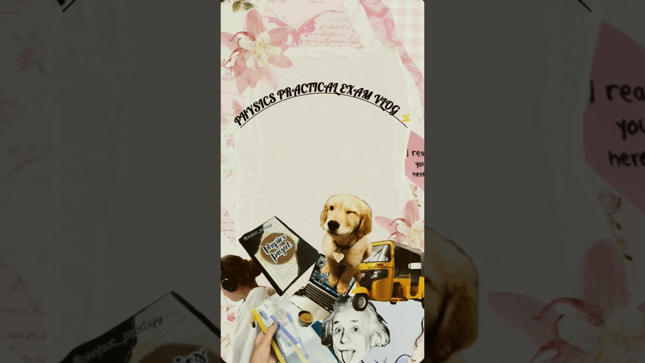 Practical Vlog | Class 12 