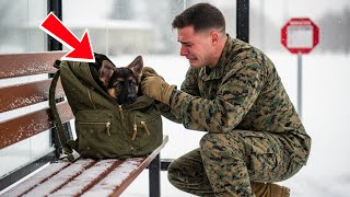 видео: Морской пехотинец США нашёл щенка немецкой овчарки в рюкзаке на автобусной остановке — записка за... картинка: Морской пехотинец США нашёл щенка немецкой овчарки в рюкзаке на автобусной остановке — записка за...