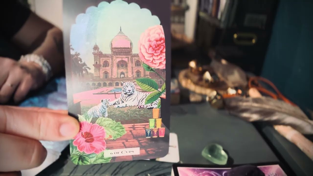 Rainbowseed Maintenance : Timeline Shift