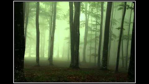 Evening Mist-By Deanna Stephens