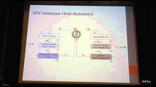 Mathematicalmodeling HIVviral dynamics&immune response during antiretroviral treatment interruptions