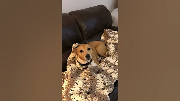 Where is Ms. Mollie?