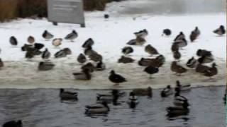 2012 0209 visite op de Busch