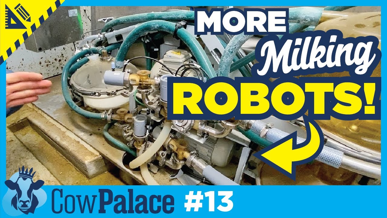 What's a GEA Milking ROBOT Like? + Some Spring Cleaning | Building Our ...