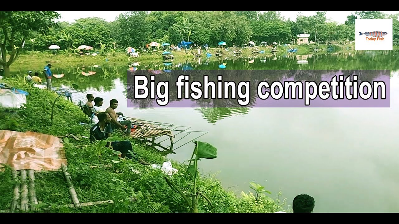 Big fishing competition 2022 in Village Bd Today Fish YouTube