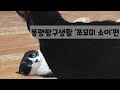 똥괭탐구생활 | 쪼꼬미 소이는 엄마 앞에선 여전히 애기야