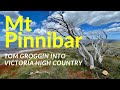 Mount Pinnibar Victoria High Country Tom Groggin