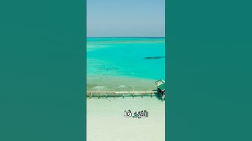 سورة التوبة و،؛كا.؛نك تسمعها لأ،،و.ل مر.ة❤️🌳،🌺💛؛،💜💮💔بصوت الشيخ حمزة مدبو.ح 🌸💕،؛💝..🌹❤️؛💓،.💕💗
