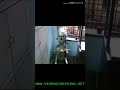 Video Image