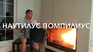♫ ♫ БОЖЕ КАК ПАРЕНЬ ПОЁТ ! Аж мурашки по коже (Nautilus Pompilius Александр Сероов ) НА БАЯНЕ ♫ ♫ БОЖЕ КАК ПАРЕНЬ ПОЁТ ! Аж мурашки по коже (Nautilus Pompilius Александр Сероов ) НА БАЯНЕ