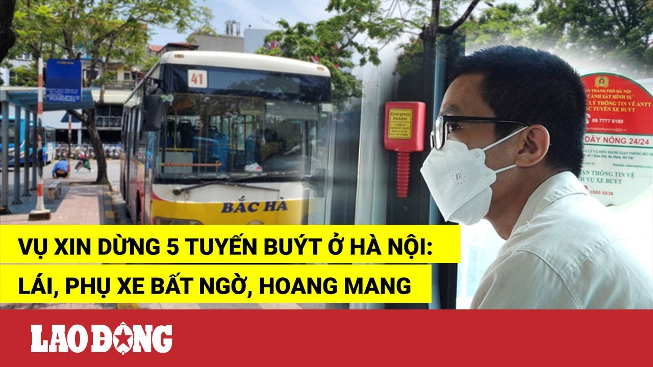 Vụ xin dừng 5 tuyến buýt ở Hà Nội: Lái, phụ xe bất... - youtube