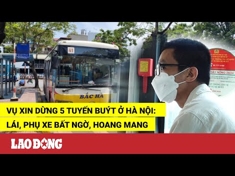 Video Vụ xin dừng 5 tuyến buýt ở Hà Nội: Lái, phụ xe bất... - youtube