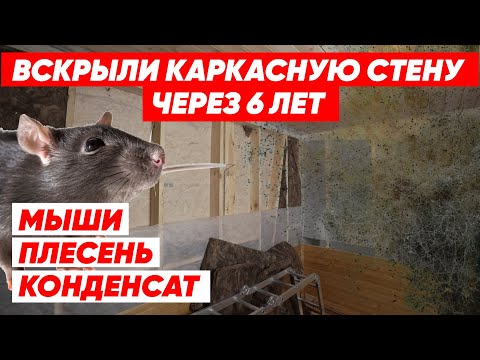 МЫШИ и ПЛЕСЕНЬ В КАРКАСНОМ ДОМЕ? СРОЧНО ВСКРЫВАЕМ СТЕНЫ КАРКАСНОГО ДОМА и ПРОВЕРЯЕМ!