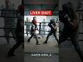 Boxing liver shot #boxing #martialartstraining #ytshorts #for