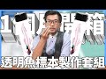 賽先生科學 After School - 透明魚標本製作套組 product youtube thumbnail