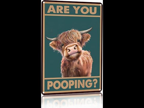 Vintage Highland Cow Tin Sign Review: Funny Bathroom Wall Decor