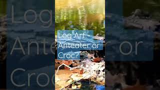 Log Art - Anteater or Crocodile wood nature shorts