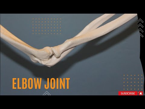 The anatomy of the Elbow joint – Simple guide
