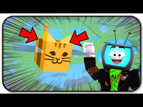 como conseguir tabby bee en bee swarm simulator roblox by