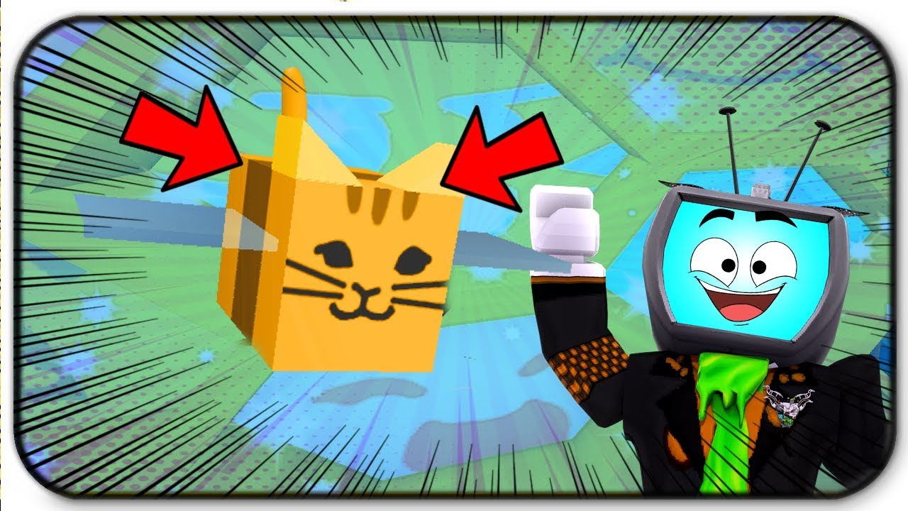 The New Cat Tabby Bee Is So Cute And Overpowered Roblox Bee Swarm Simulator - roblox beeswarm codes tabby cat