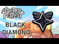 Black diamond  guide complet  archer forest