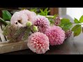 お花の定期便10月号ダリア便！秋におすすめピンクのお花たち【おうちフラワー#39】