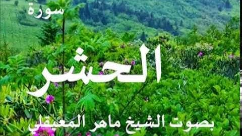 سورة الحشر بصوت الشيخ / ماهر المعيقلي 59