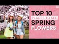 Top 10 Places to See Spring Flowers in London | Mowbray Court Hotel London