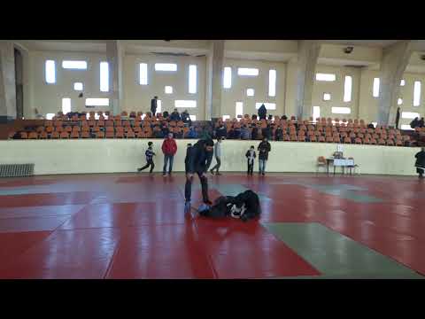 ხრიდოლი.კრივ-ჭიდი.გიორგი აღაპიშვილი და რევაზ მჭედლიშვილი.2017