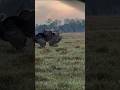 "Один миг, один 1«Противник впереди, один удар — игра закончена!» 💥🎯