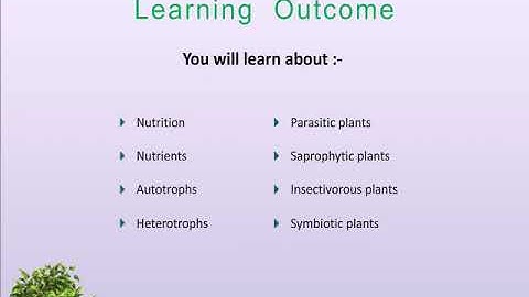CBSE Standard 7 Chapter 1  Nutrition in Plants part 1 Learning Outcome