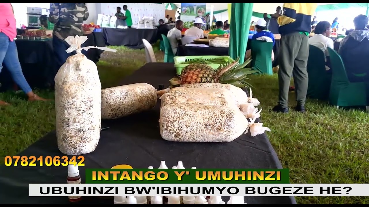 UBUHINZI BW'IBIHUMYO BUGEZE HE BUKORWA