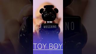Affordable Everyday 10/10 Fragrances (Toy Boy)