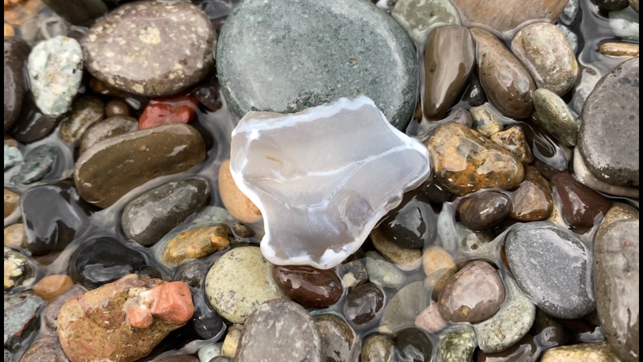 海岸で宝探し！透明な奇跡の石に出会う旅【ジャスパー・瑪瑙・玉髄】