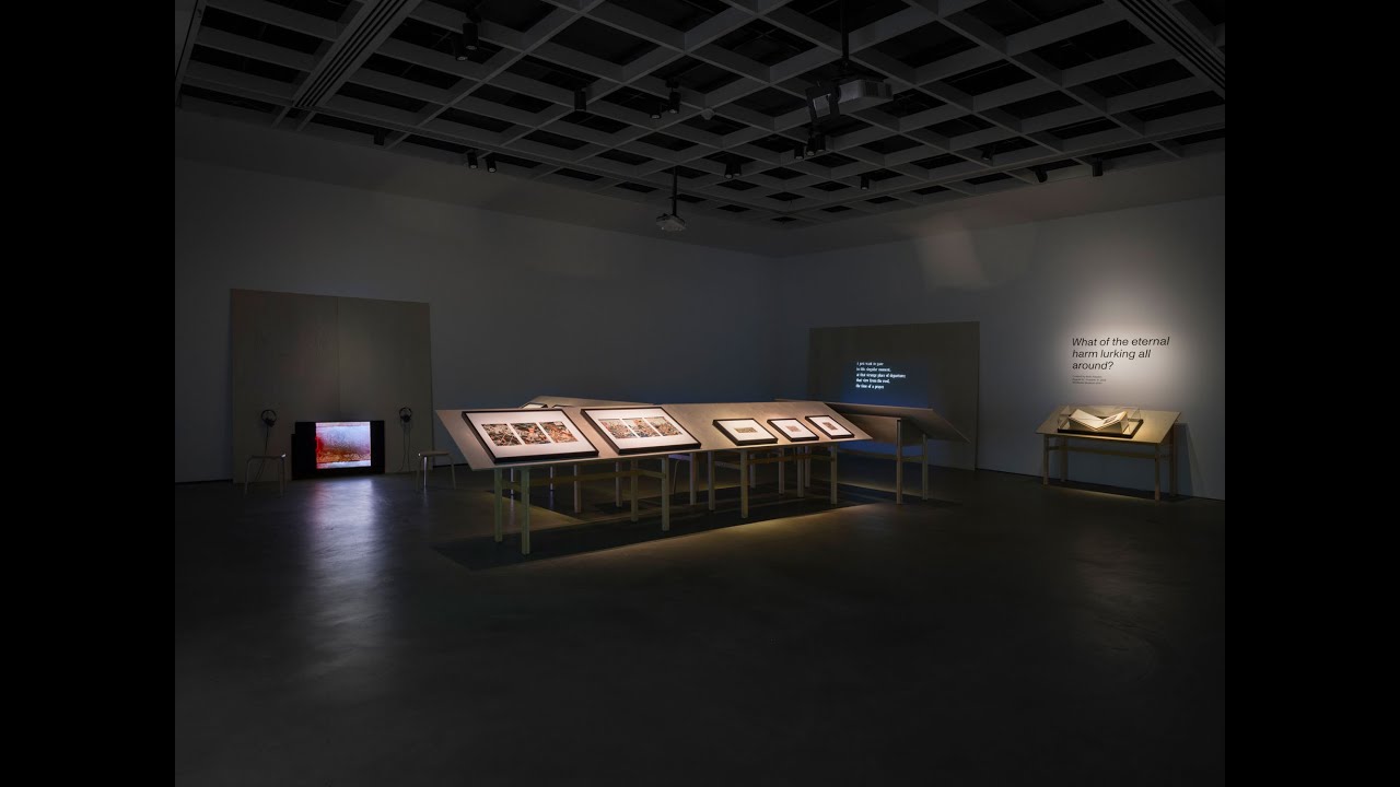 What of the eternal harm lurking all around? - McMaster Museum of Art