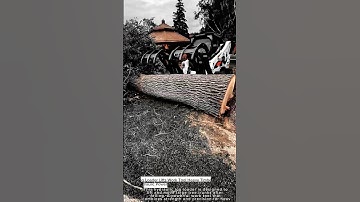 Log Loader Lifts Work Tool Heavy Timber with Hydraulic Power for time saving work