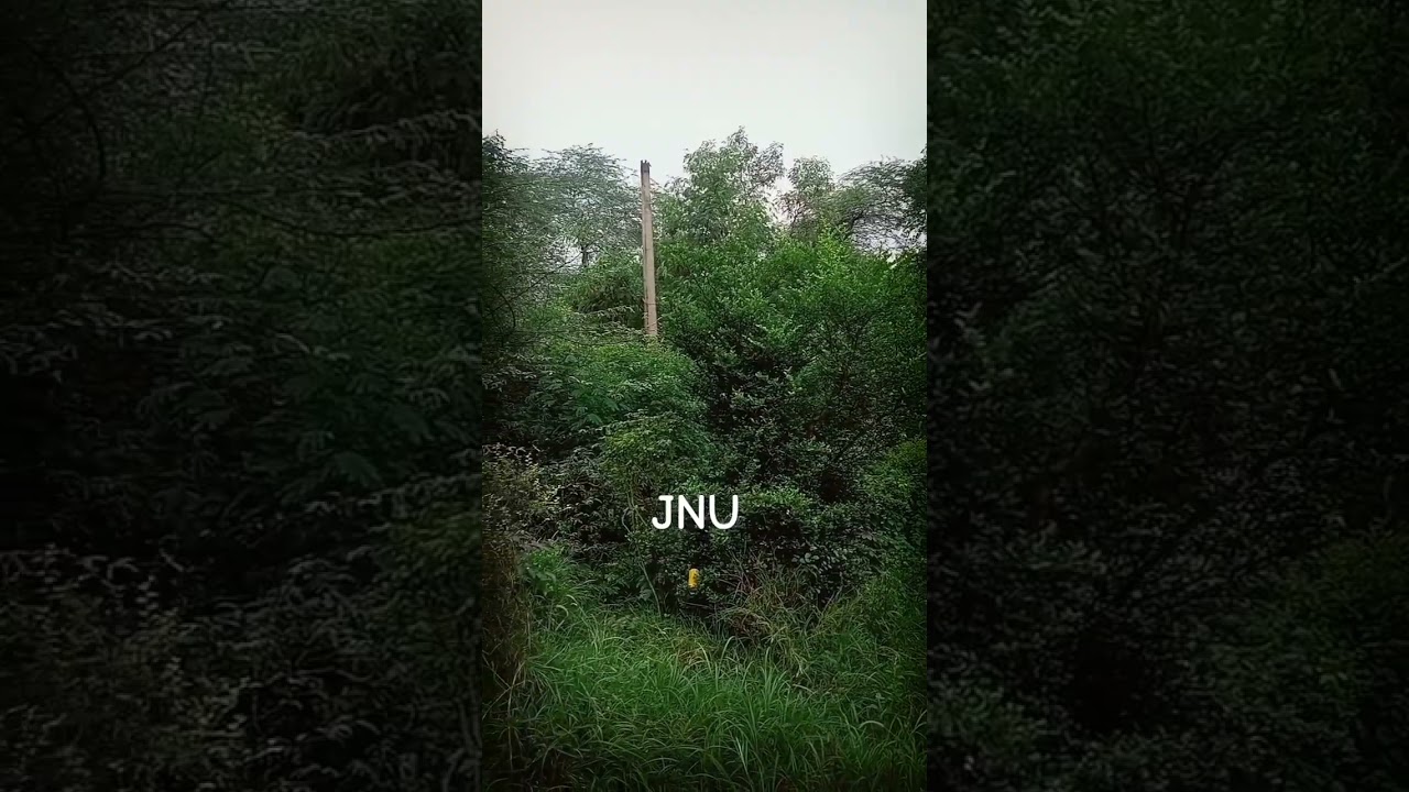 #jnu
