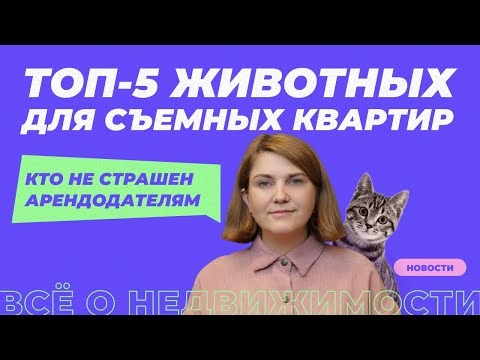 Как снять квартиру с домашними животными? | Топ-5 питомцев | Правила и рекомендации