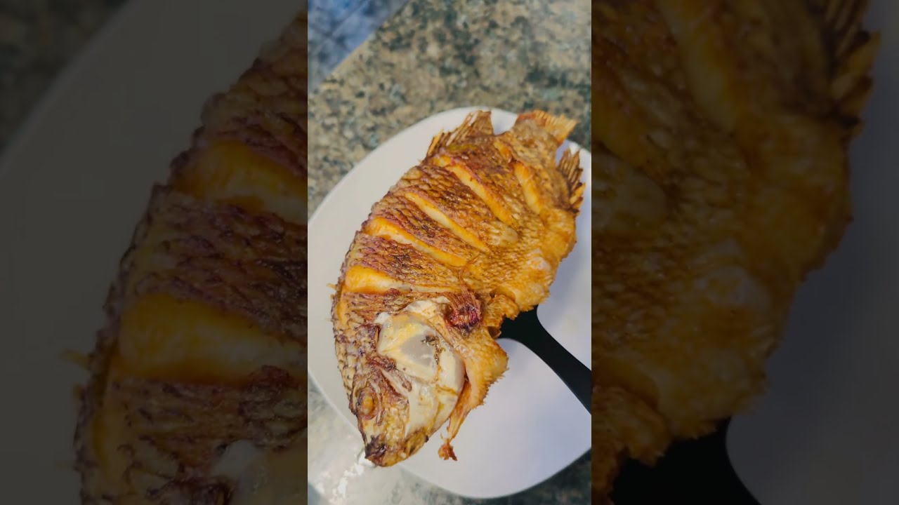 Fish